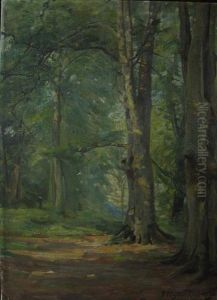 In Slinden Woods