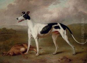 A Prize Greyhound In An Extensive Landscape by Philip Reinagle