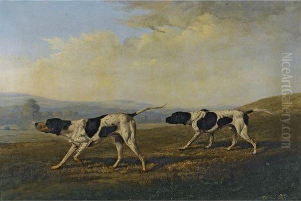 Two English Pointers Scenting Game - view 1