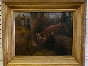 A Fox Leaping From A Wall