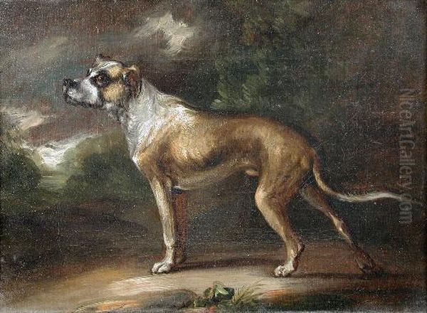 Study Of The Goubourne Mastiff - view 1