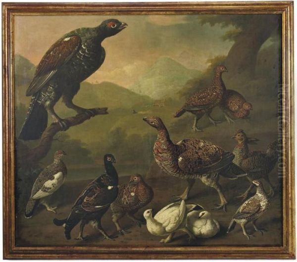 A Large Male Black Grouse,
Lyrurus Tetrix, Perched On A Branch Andsurrounded By A Variety Of Other
Grouse Including Male And Femalevarieties Of Red Grouse, Lagopus
Lagopus, And Ptarmigans Displayingboth Summer And Winter Plumage - view 1