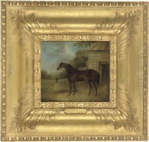 A Bay Horse Outside A Stable, In A Landscape