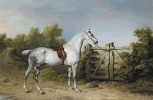 Sir Charles Mordaunt's Grey Hunter by Philip Reinagle