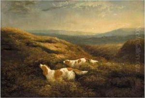 Two Spaniels On The Moors