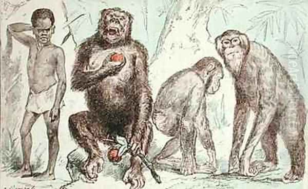 Evolution of Man from Mammals - view 1