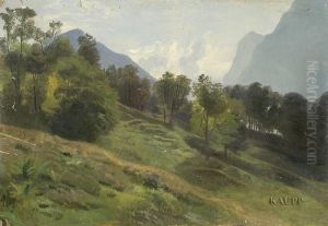 Sommerliche Landschaft Mit Berghang Vor Gebirgskulisse. Sommerliche Landschaft Mit Berghang Vor Gebirgskulisse.