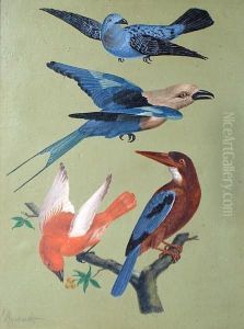 Exotic Birds 'l Reinhardt' (lower Left) by Louis, Ludwig Reinhardt