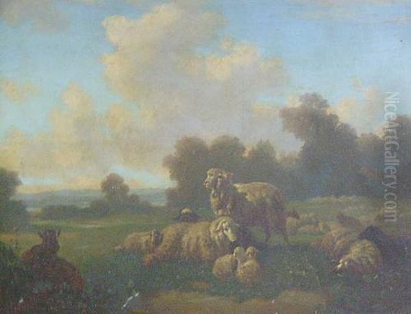 Sheep Resting In A Meadow - view 1