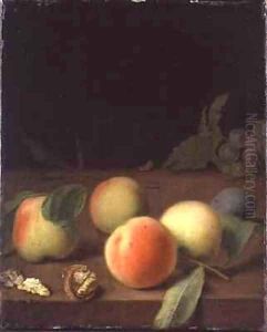 Fruit Still Life by Balthasar Denner