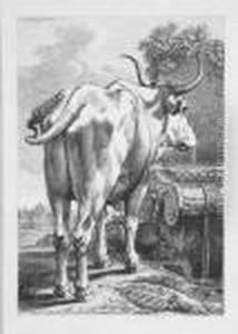 Verschiedene Tierfolgen. by Johann Christian Reinhart