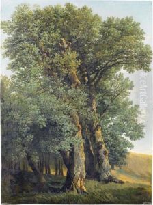 Study Of Trees In A Landscape by Johann Christian Reinhart