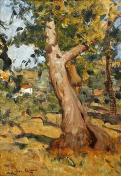 Paisagem Com Arvores - view 1