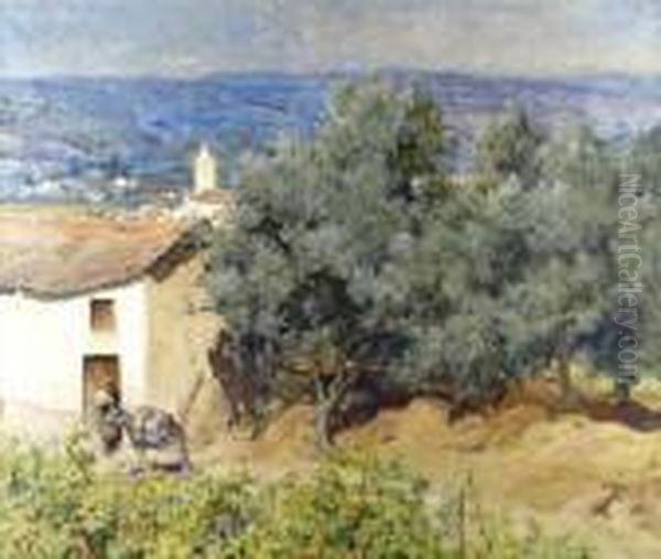 Paisagem - view 1