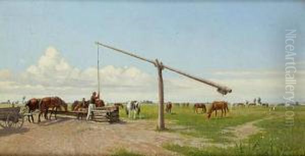 Horses Drinking In The Puszta - view 1