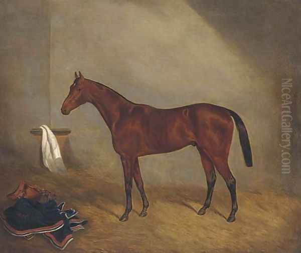 A bay racehorse in a stable - view 1