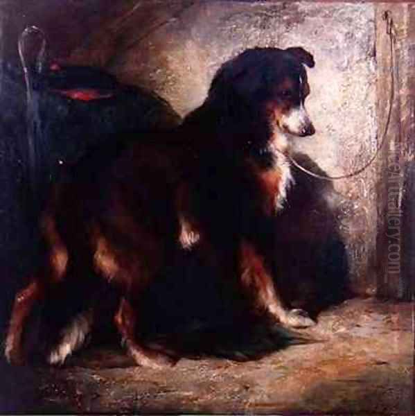 The Shepherds Collie - view 1