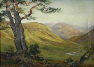 Overlooking A Highland Glen by George Melvin Rennie