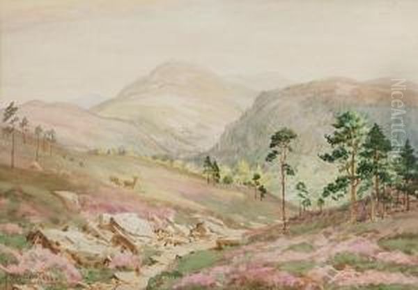 Lochnagar Mountain - view 1