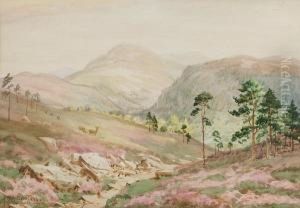 Lochnagar Mountain by George Melvin Rennie