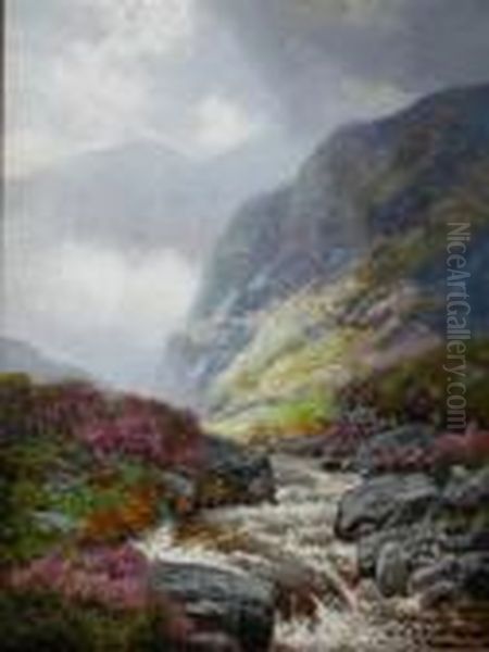 A Glen In Autumn - view 1