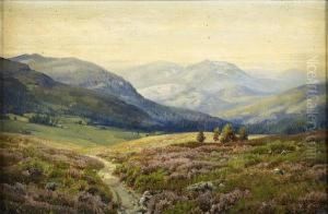 The Cairn Gorms - Ben Macdhui