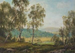 In Glen Gairn, Near Ballater, Autumn by George Melvin Rennie