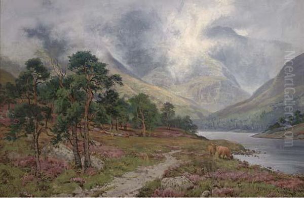 In Glen Affric, Near Inverness - view 1