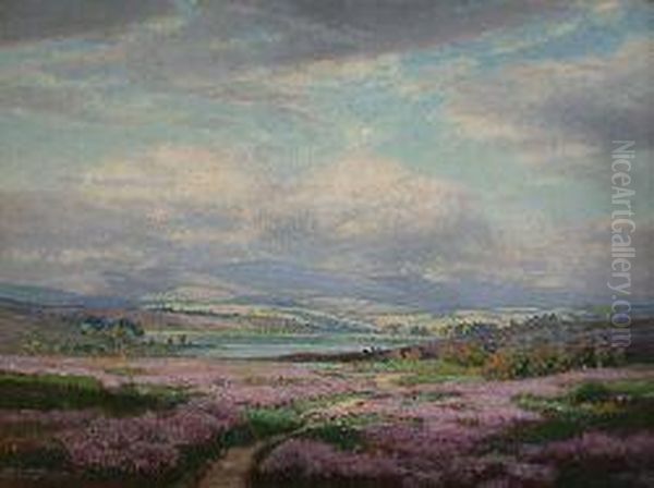 Heather Covered Hillside With Distant Loch - view 1