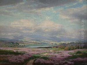 Heather Covered Hillside With Distant Loch