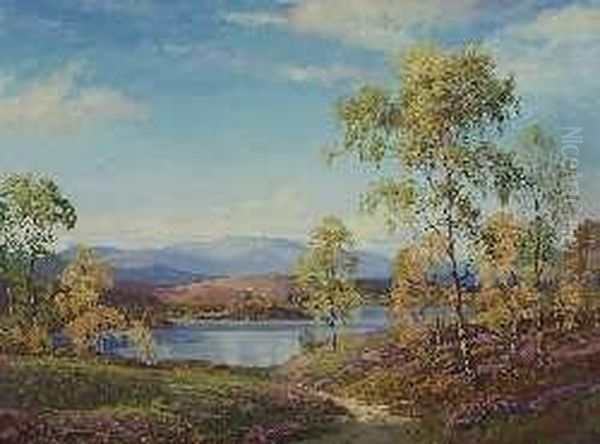 Dinnet Moor - view 1