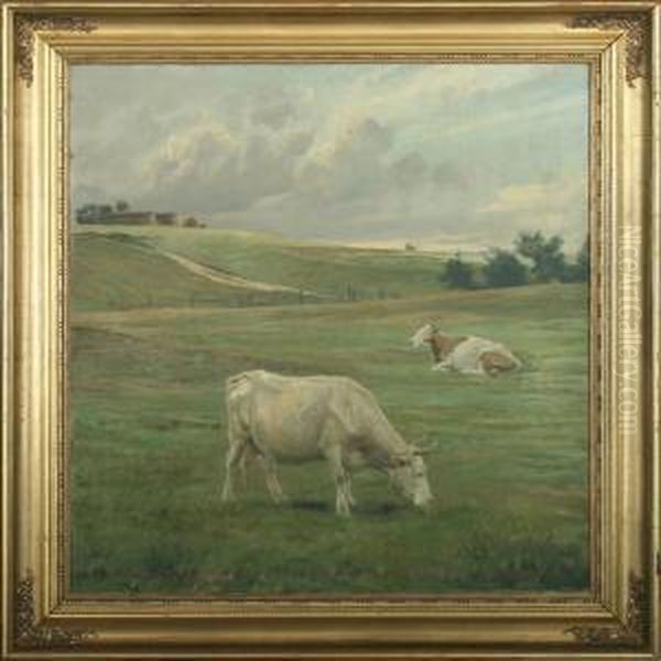 Two Cows In Thefield - view 1