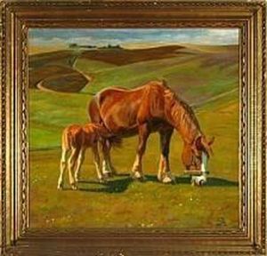 A Horse And A Filly Are Grazing On A Field, Summer A Horse And A Filly Are Grazing On A Field, Summer