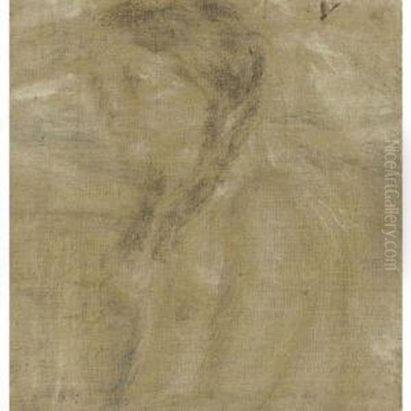 Desnudo - view 1