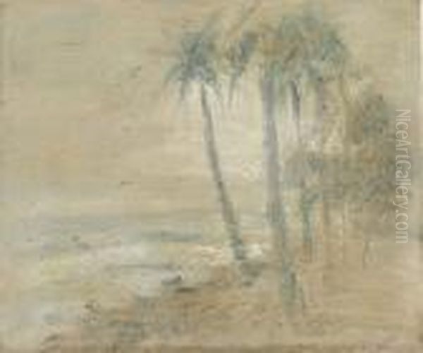 Cocoteros En La Playa, Macuto - view 1