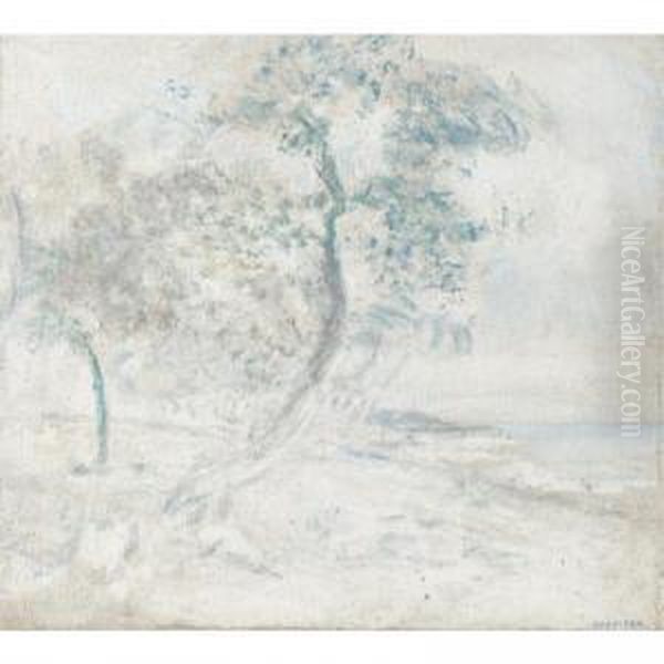 Paisaje De Macuto - view 1
