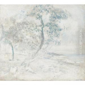 Paisaje De Macuto