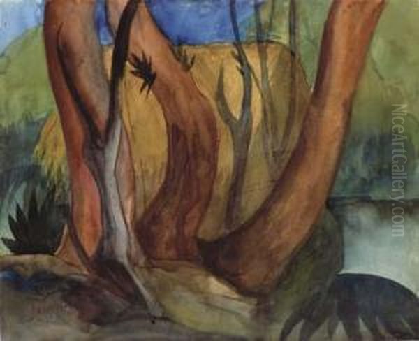 Paisaje - view 1
