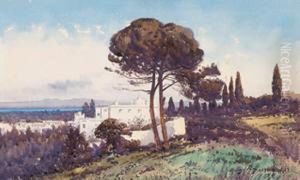 Villa Rais, Alger. Villa Rais, Alger.