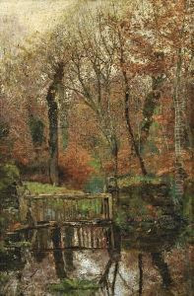 Lo Stagno Nel Bosco - view 1