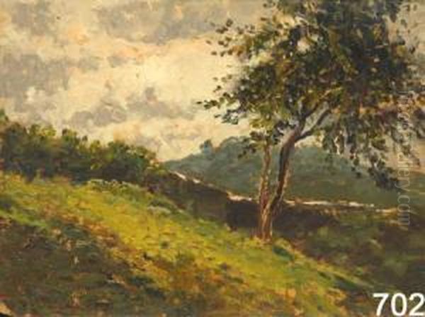 Paesaggio - view 1
