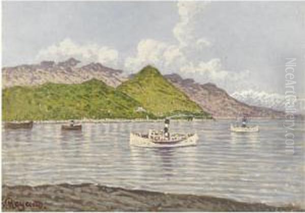 Vaporetti Sul Lago Maggiore - view 1