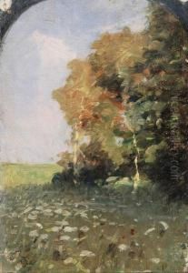 "paesaggio - Studio" Olio Su Tela Firmato In Basso A Sinistra