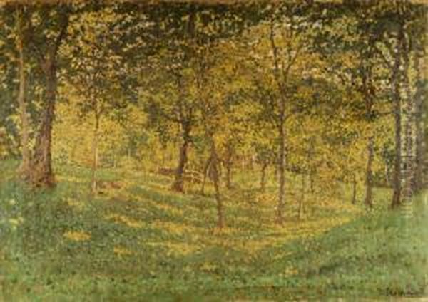 Paesaggio Autunnale - view 1