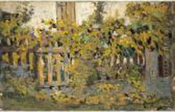 I Rampicanti In Giardino - view 1
