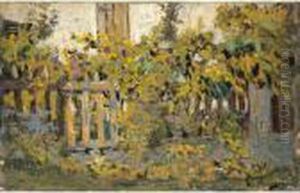 I Rampicanti In Giardino