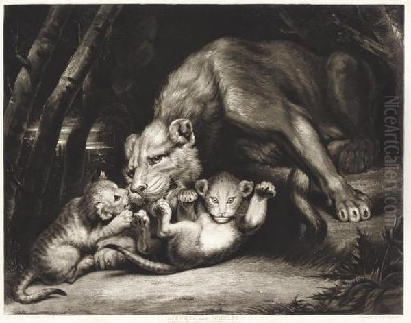 Lioness And Whelps - view 1