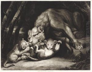 Lioness And Whelps