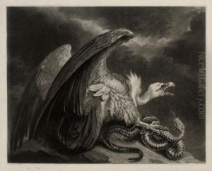 Vulture And Snake