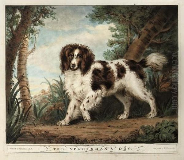 The Sportsman's Dog - view 1
